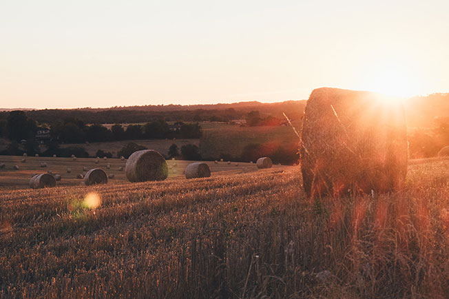 PASTURE SCIENCE